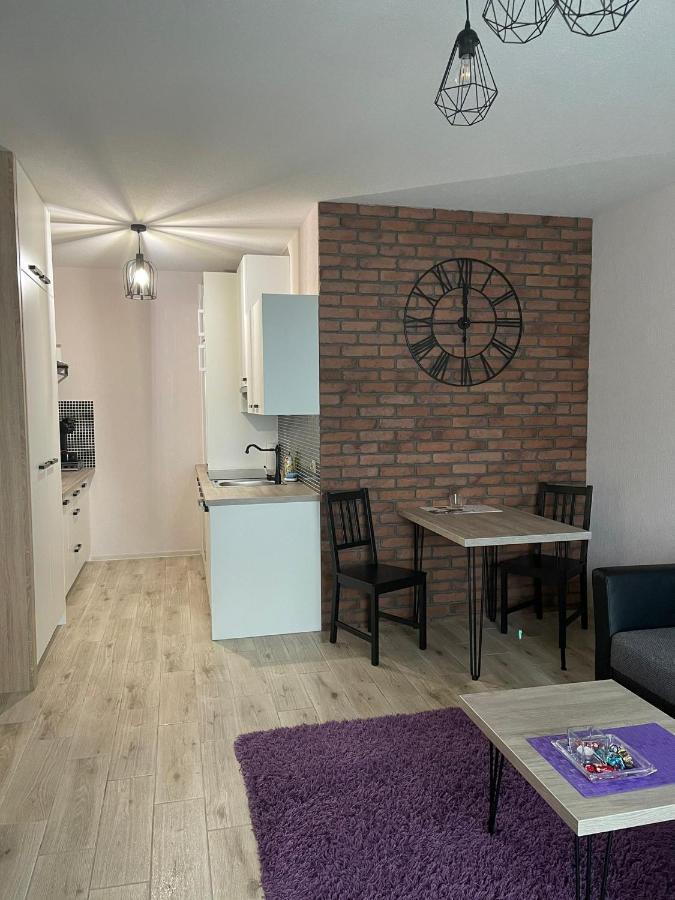 Apartamenty Bartnicza C 别尔斯克-比亚拉 外观 照片